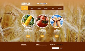 All Natural Foods Website