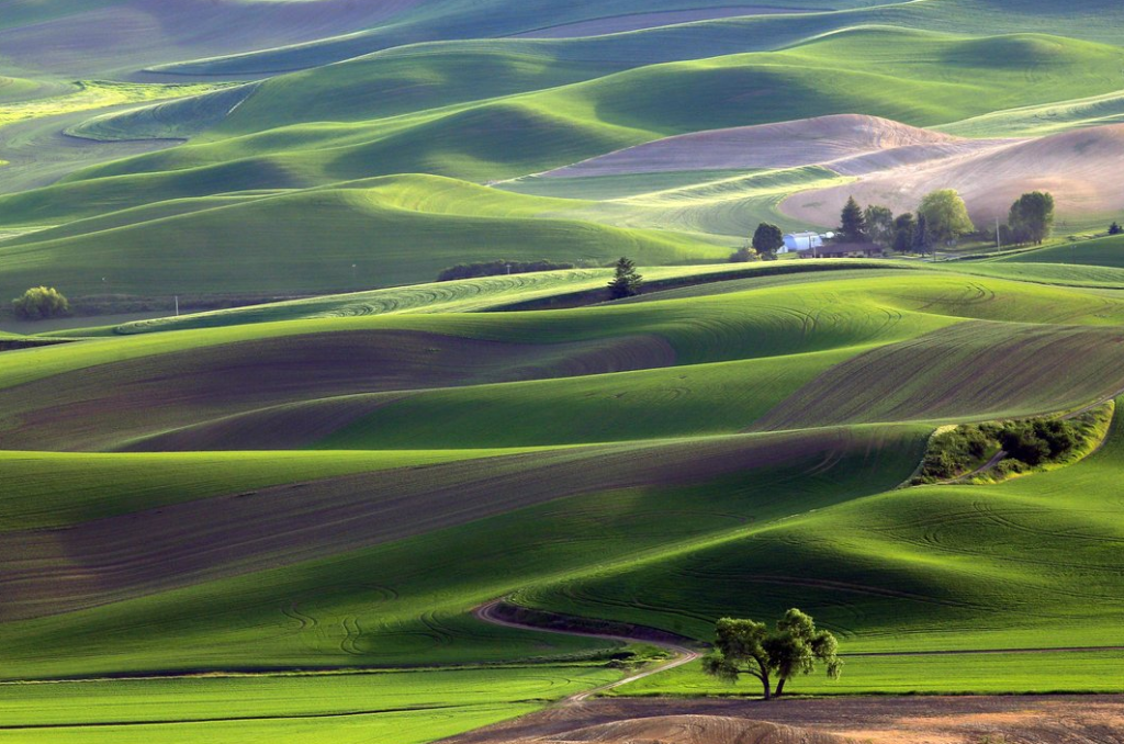 https://www.smithsonianmag.com/photo-contest/2015-03-26/american-farm/