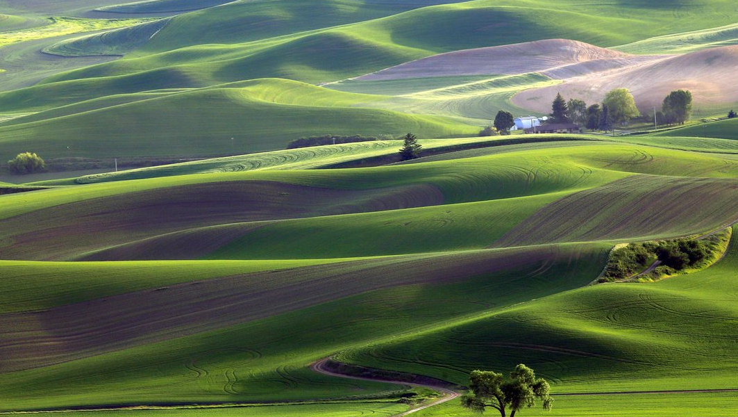 https://www.smithsonianmag.com/photo-contest/2015-03-26/american-farm/