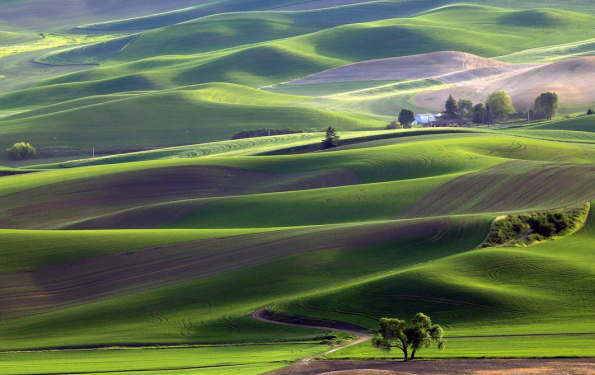 https://www.smithsonianmag.com/photo-contest/2015-03-26/american-farm/