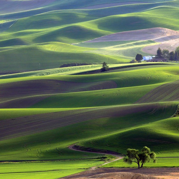 https://www.smithsonianmag.com/photo-contest/2015-03-26/american-farm/