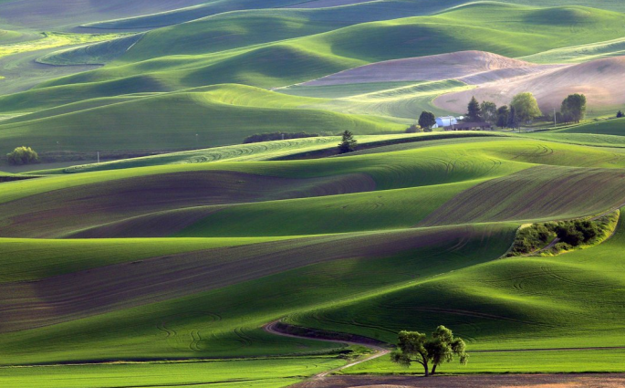 https://www.smithsonianmag.com/photo-contest/2015-03-26/american-farm/